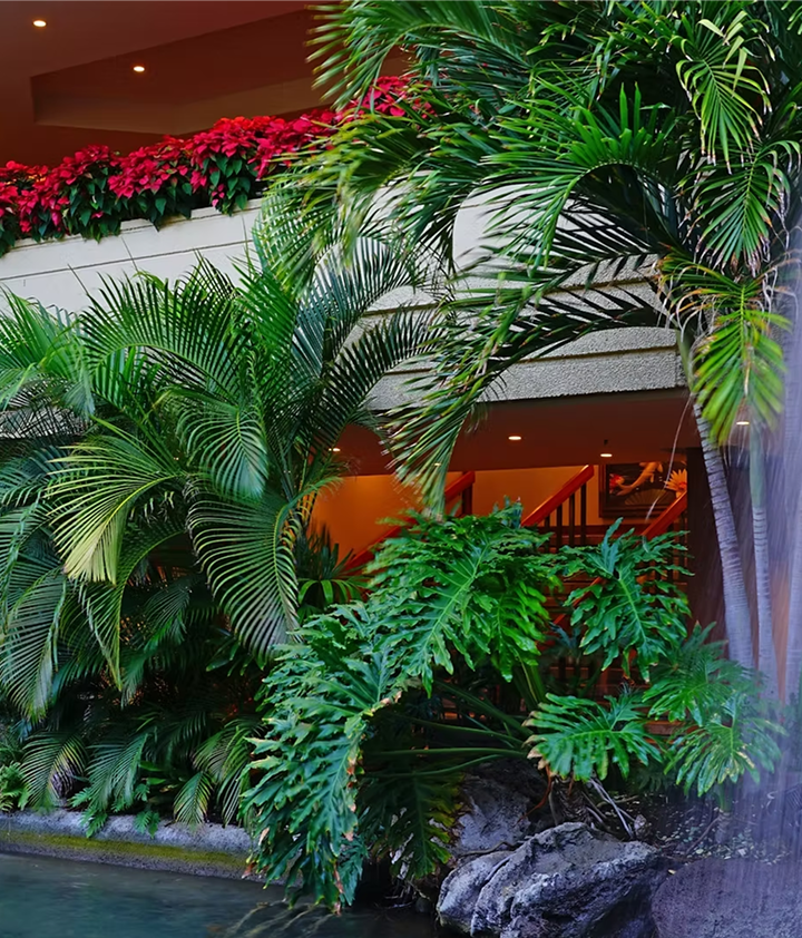 Rectangle 39 (5).png