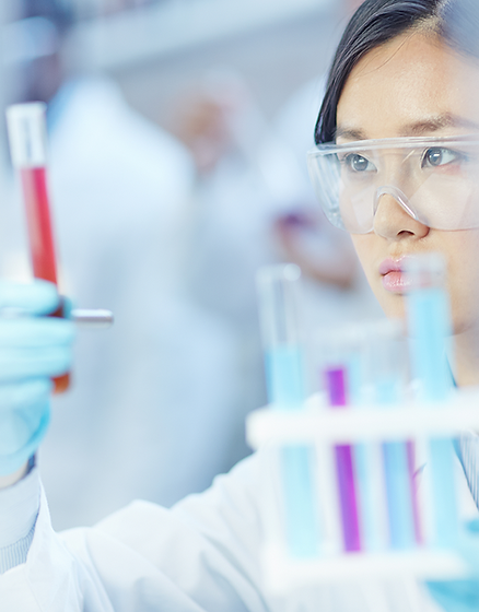 Rectangle 921413 (1).png