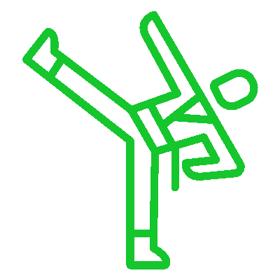 wired-outline-660-karate-fight-hover-pinch.gif