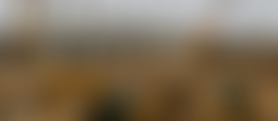 Sovereign Guarantees In Infrastructure Finance - The Guardian | https://guardian.ng/infrastructure/sovereign-guarantees-in-infrastructure-finance/