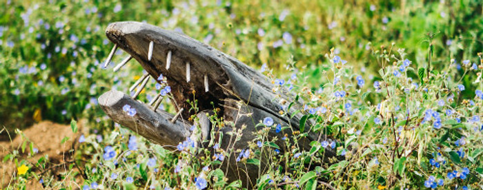 Pelas-Mãos-de-Alagoas_13_As-criaturas-de
