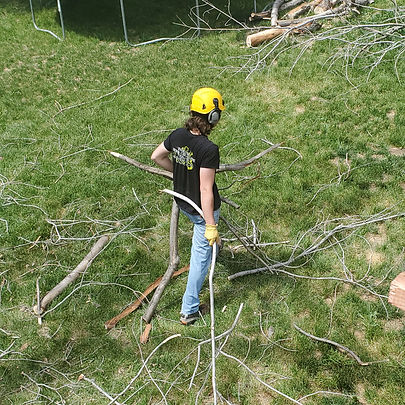 A Silverwood Arboriculture employee cleaning up a customer's yard.