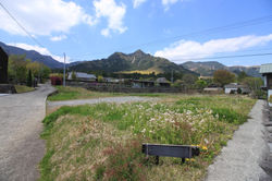 物件東側からの敷地全体の様子