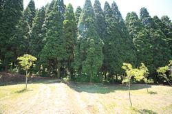 17号地　南側風景