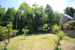 12号地 東側風景