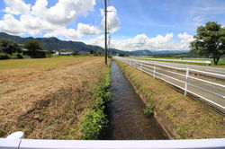 水路（北東側）