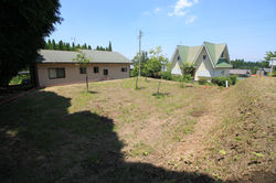 17号地　下の段の様子