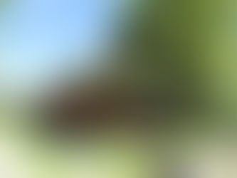 新着売家情報 南阿蘇村 中松