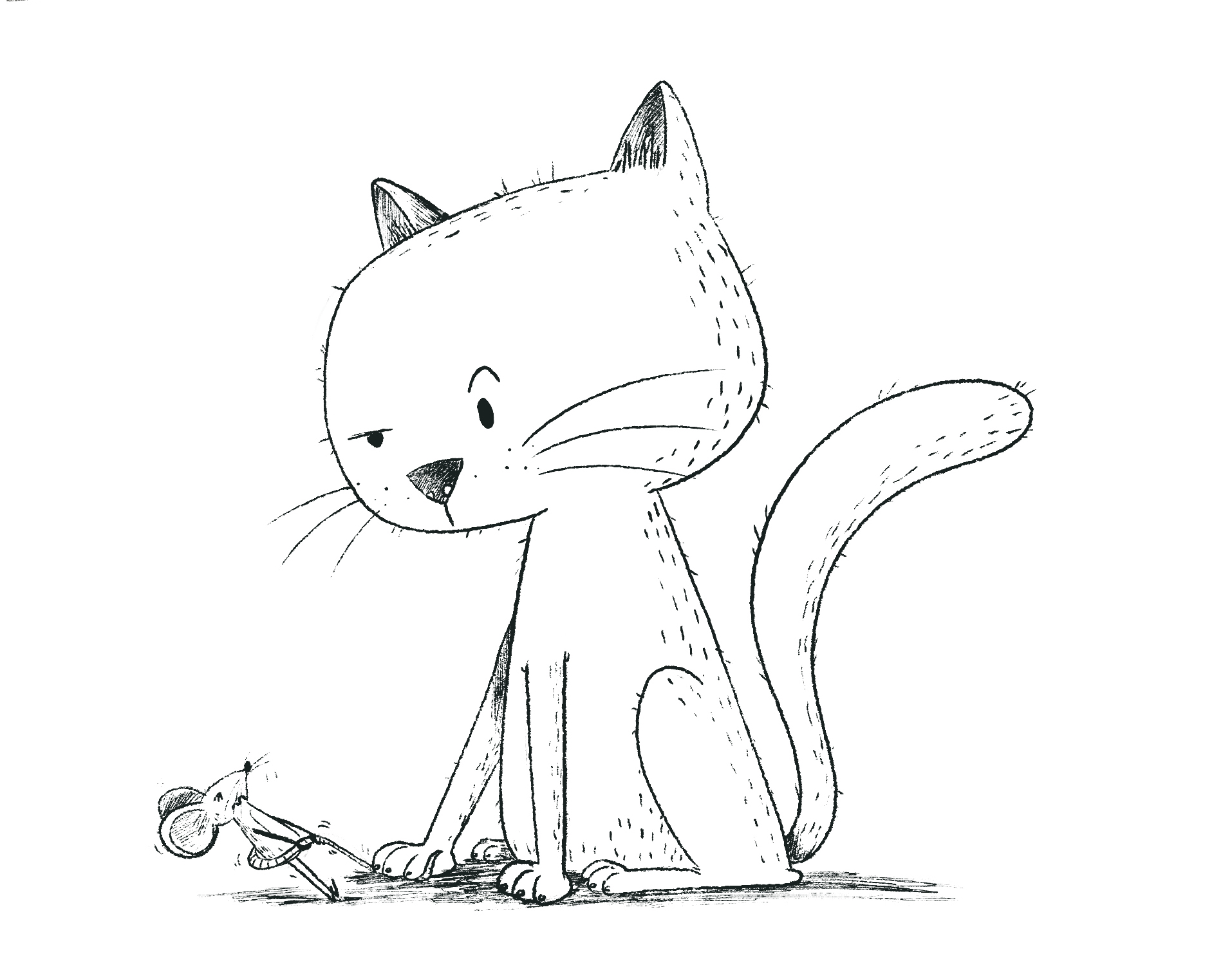 cat sketch