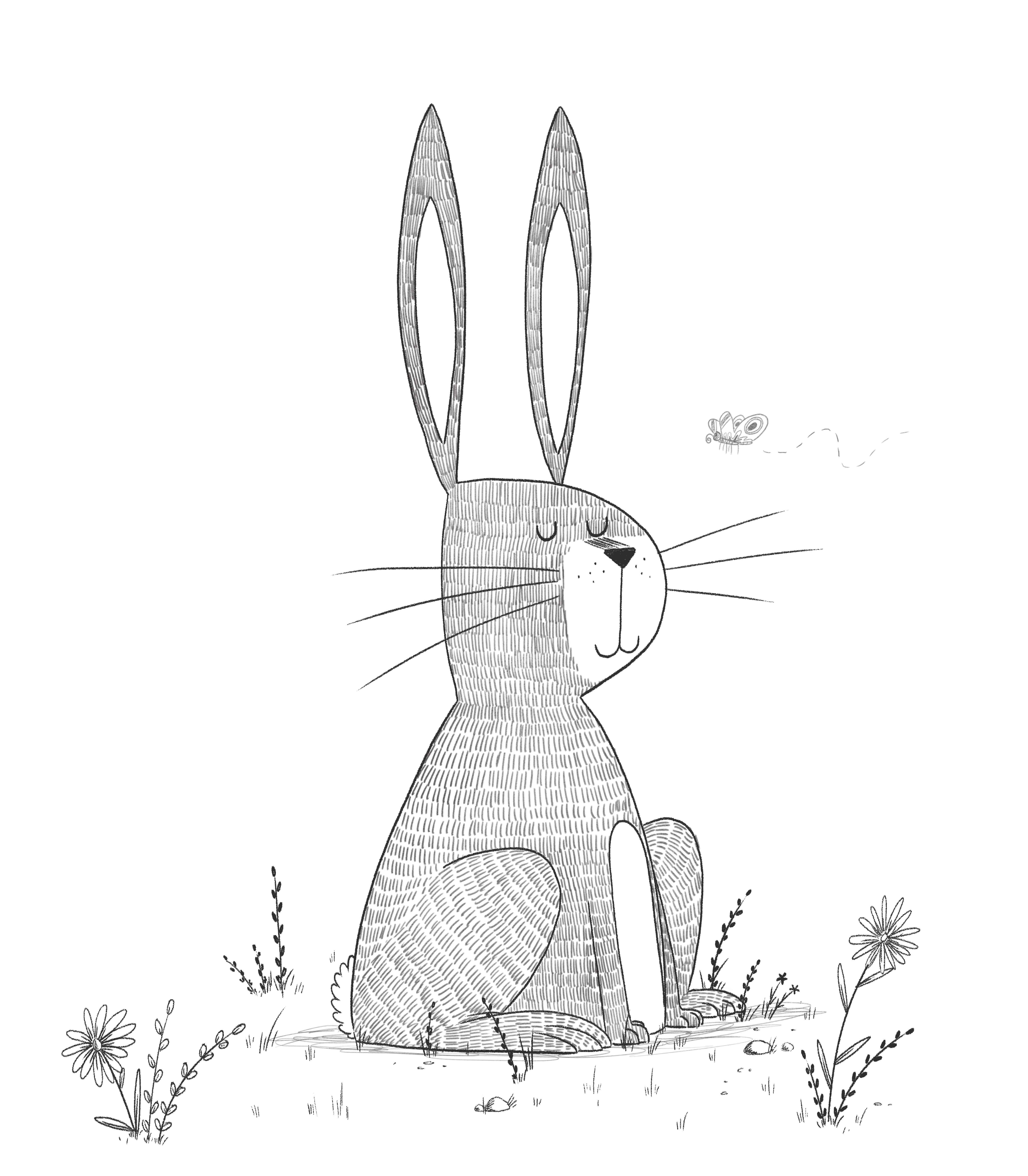 B&W Rabbit