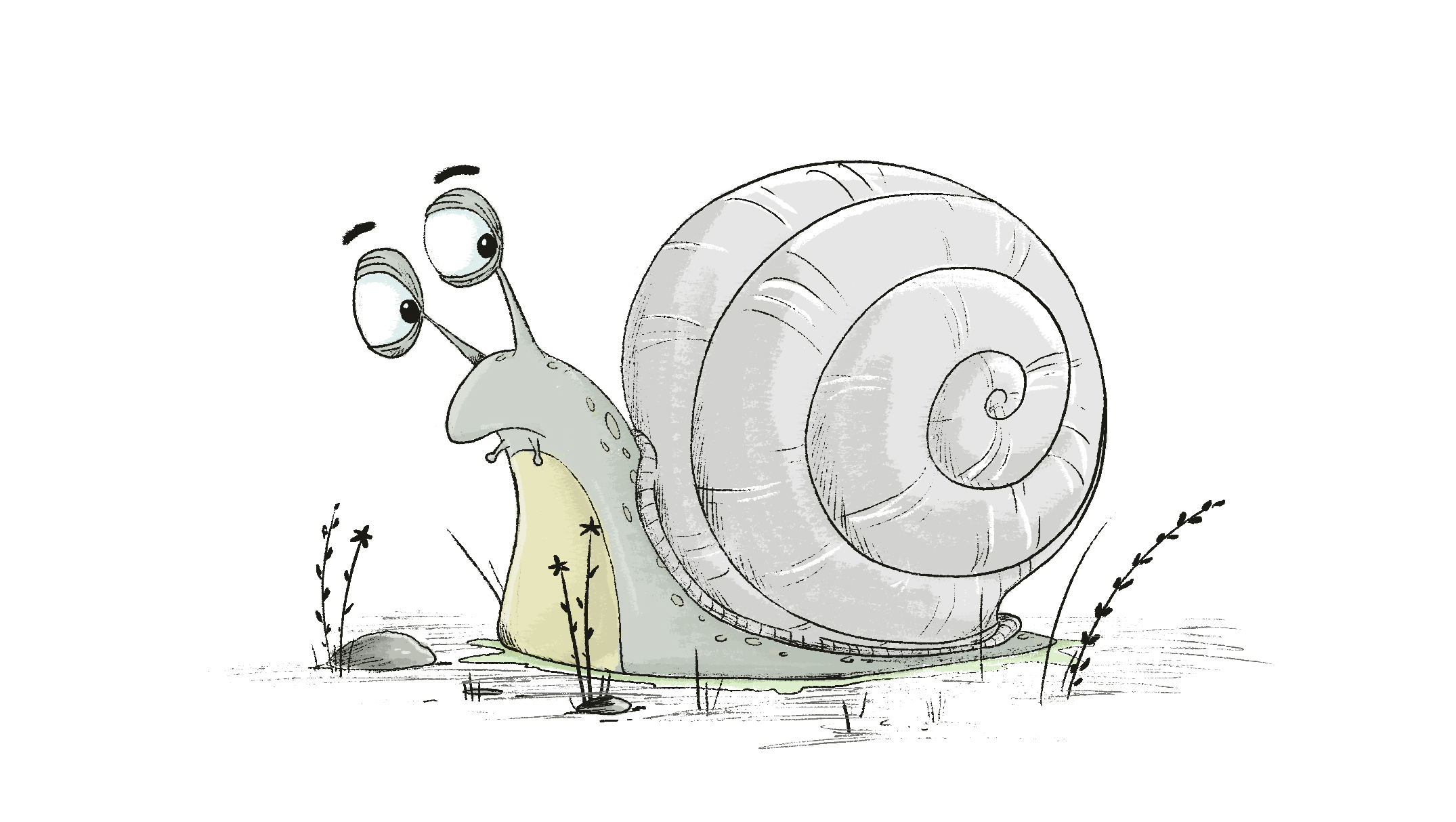 snail sketch