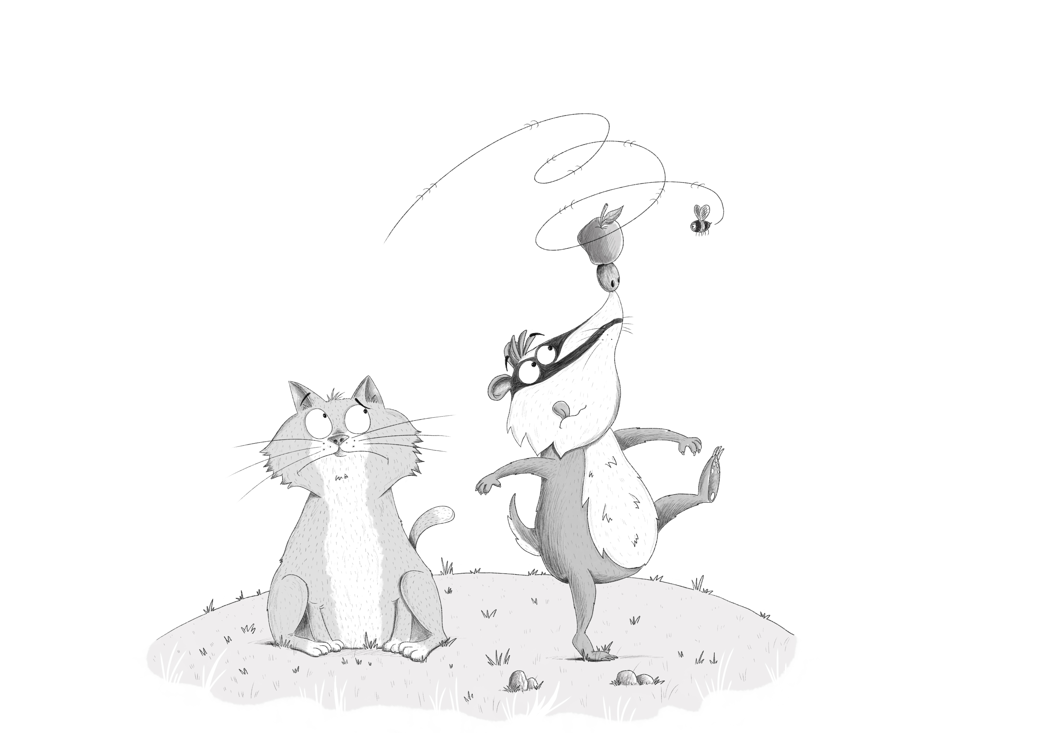 B&W cat and badger