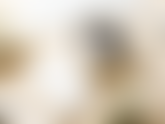 The Confidence Code: Rewriting the Stories That Keep You Playing Small