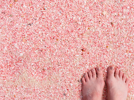 The Confidence Code: Rewriting the Stories That Keep You Playing Small