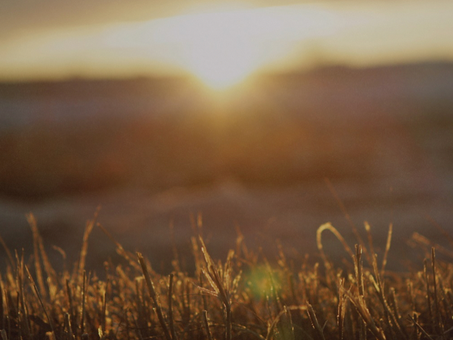 We May Be Confused, but God Isn’t