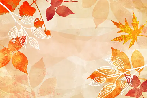 istockphoto-1346482204-170667a.webp