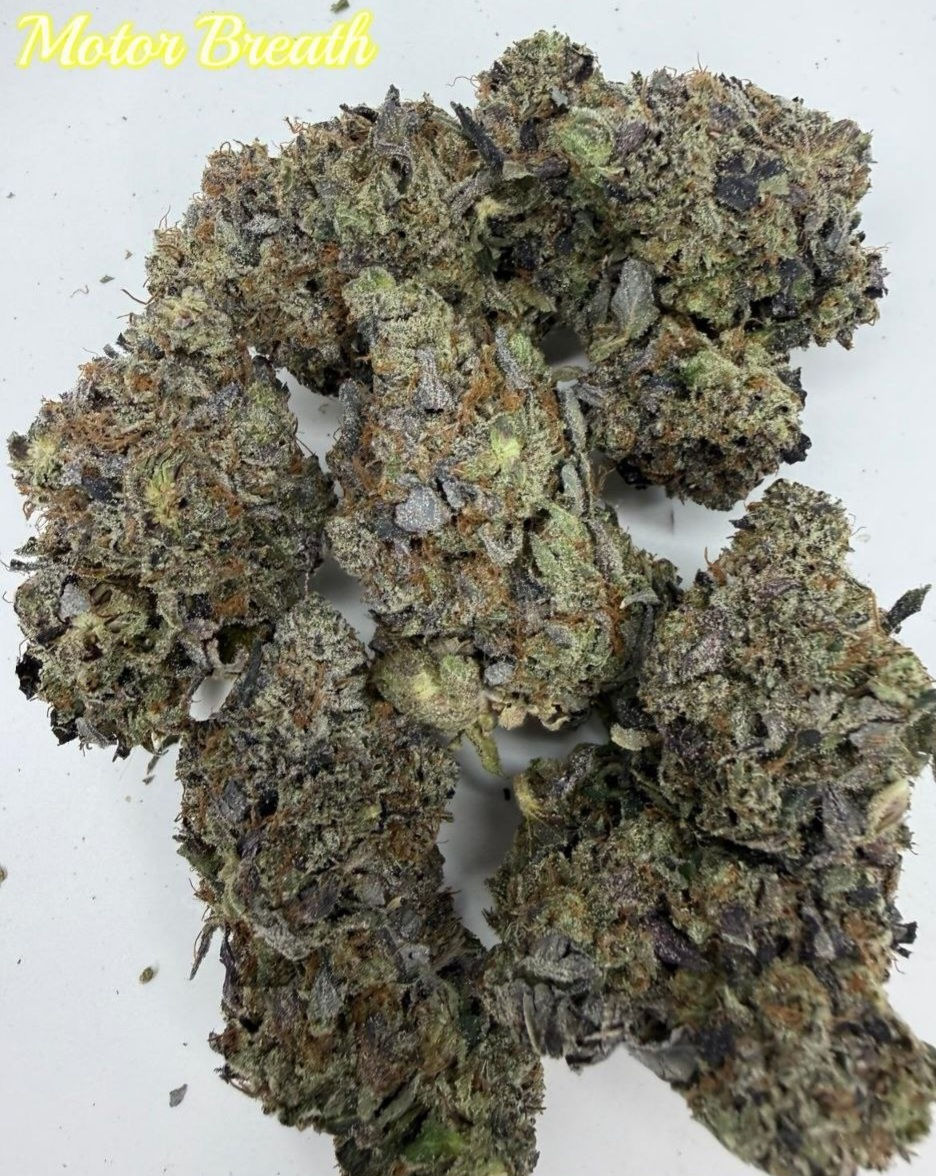 Thumbnail: MOTOR BREATH AAAAA **2 oz $250**
