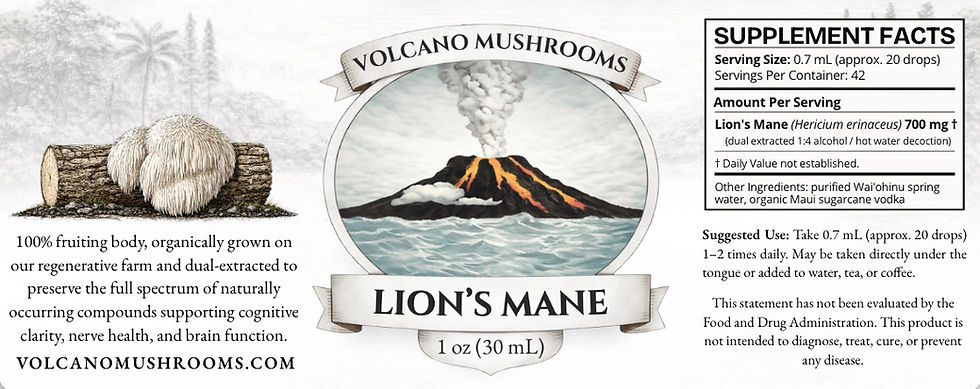 Thumbnail: Lion's Mane Dual Extract  -  Mental Clarity •  Focus