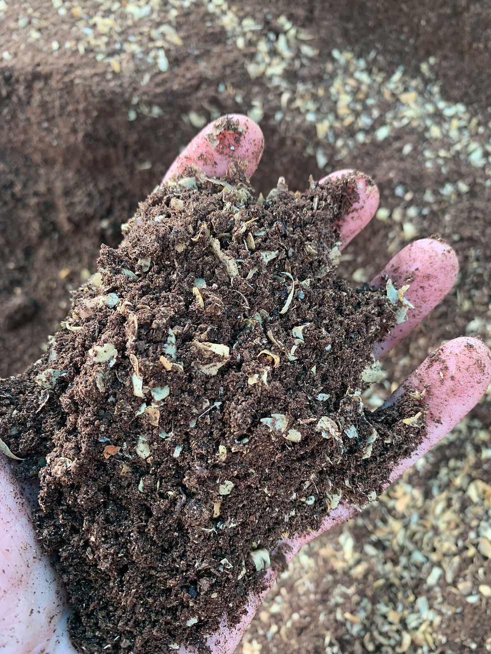 Regenerative substrate for growing mushrooms