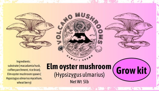 Thumbnail: Volcano Mushrooms Oyster Grow Kit label
