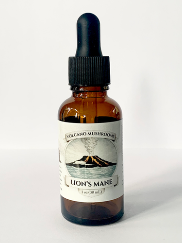 Lion's Mane Dual Extract - Clarity • Focus • Brain Support