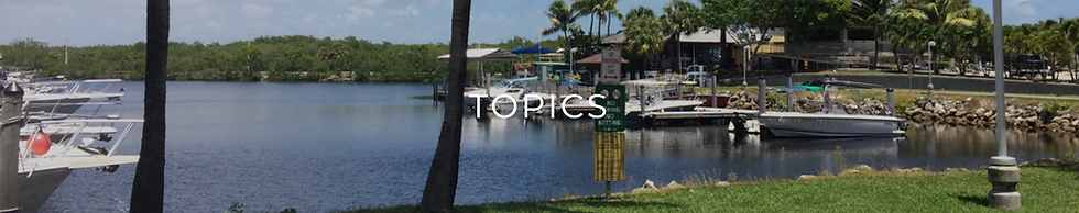TOPICS