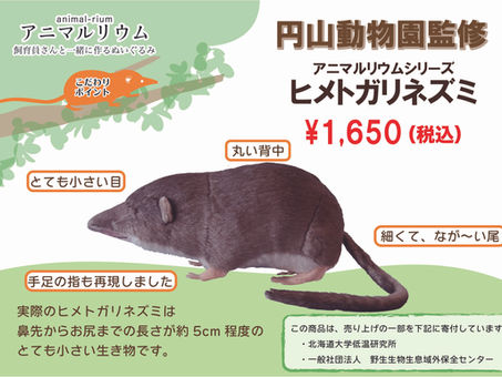 アニマルリウムシリーズにヒメトガリネズミが新登場！