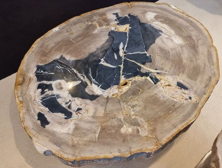 Miniature : Table basse bois pétrifié vue de dessus