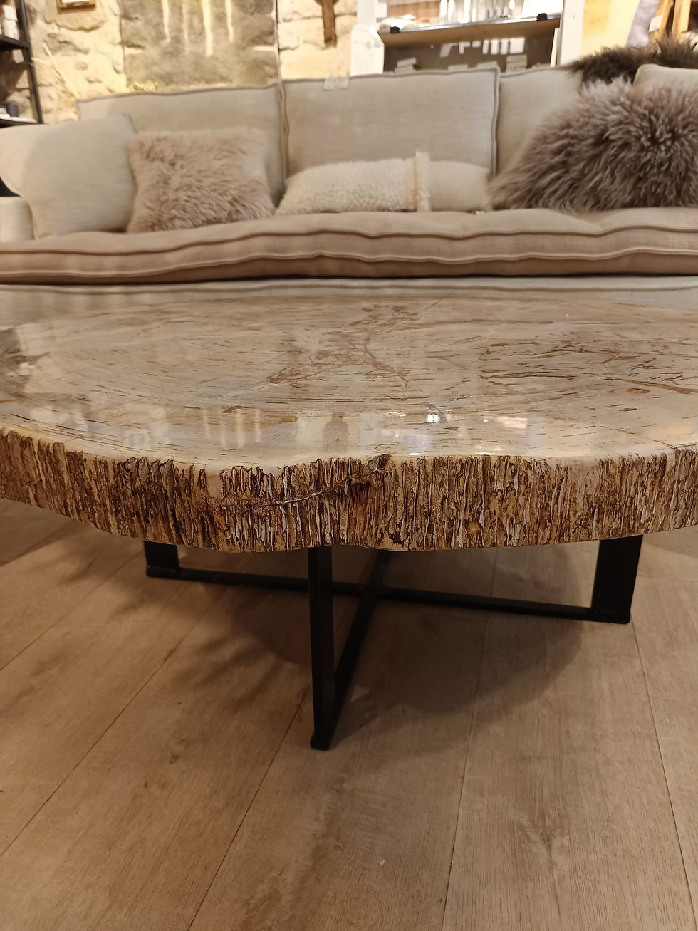 Miniature : Table basse bois pétrifié pieds