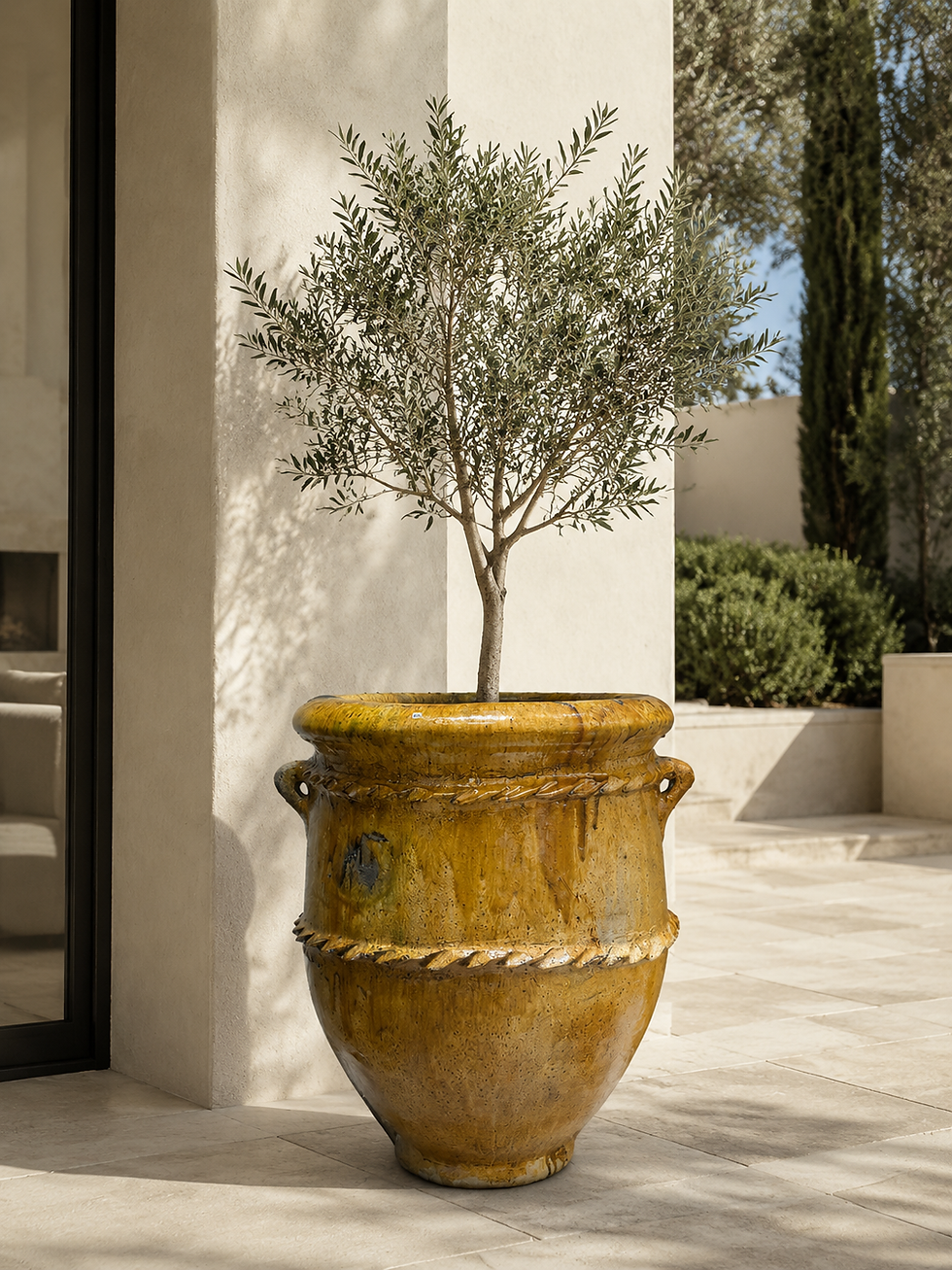 Pot Tamegroute émaillé plante extérieur original ancien vert Bordeaux