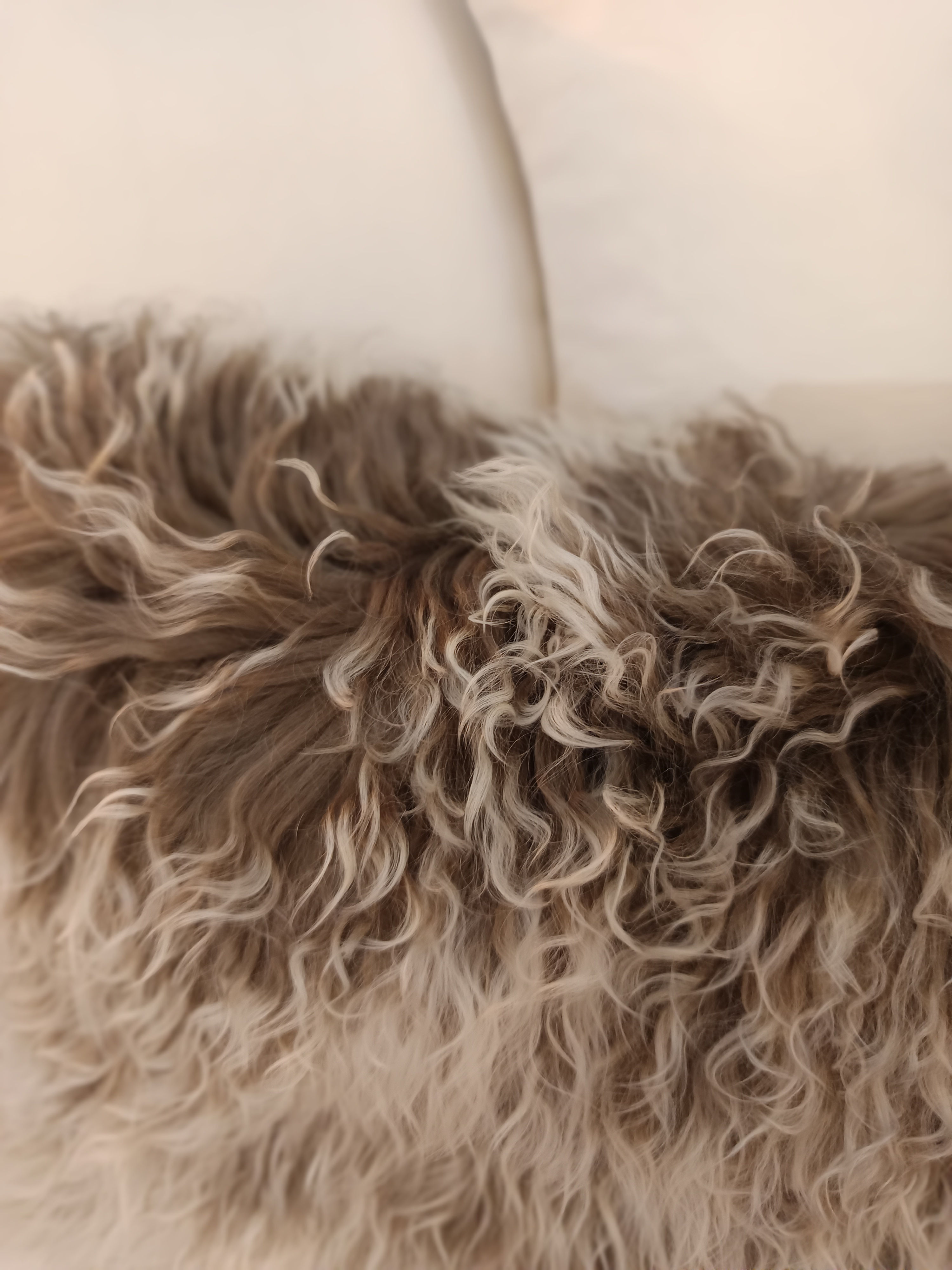 Coussin Agneau du Tibet bi-colore Taupe