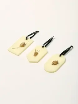 Miniature : Pack de Cire parfumée SU Bergamote, Mandarine et Basilic