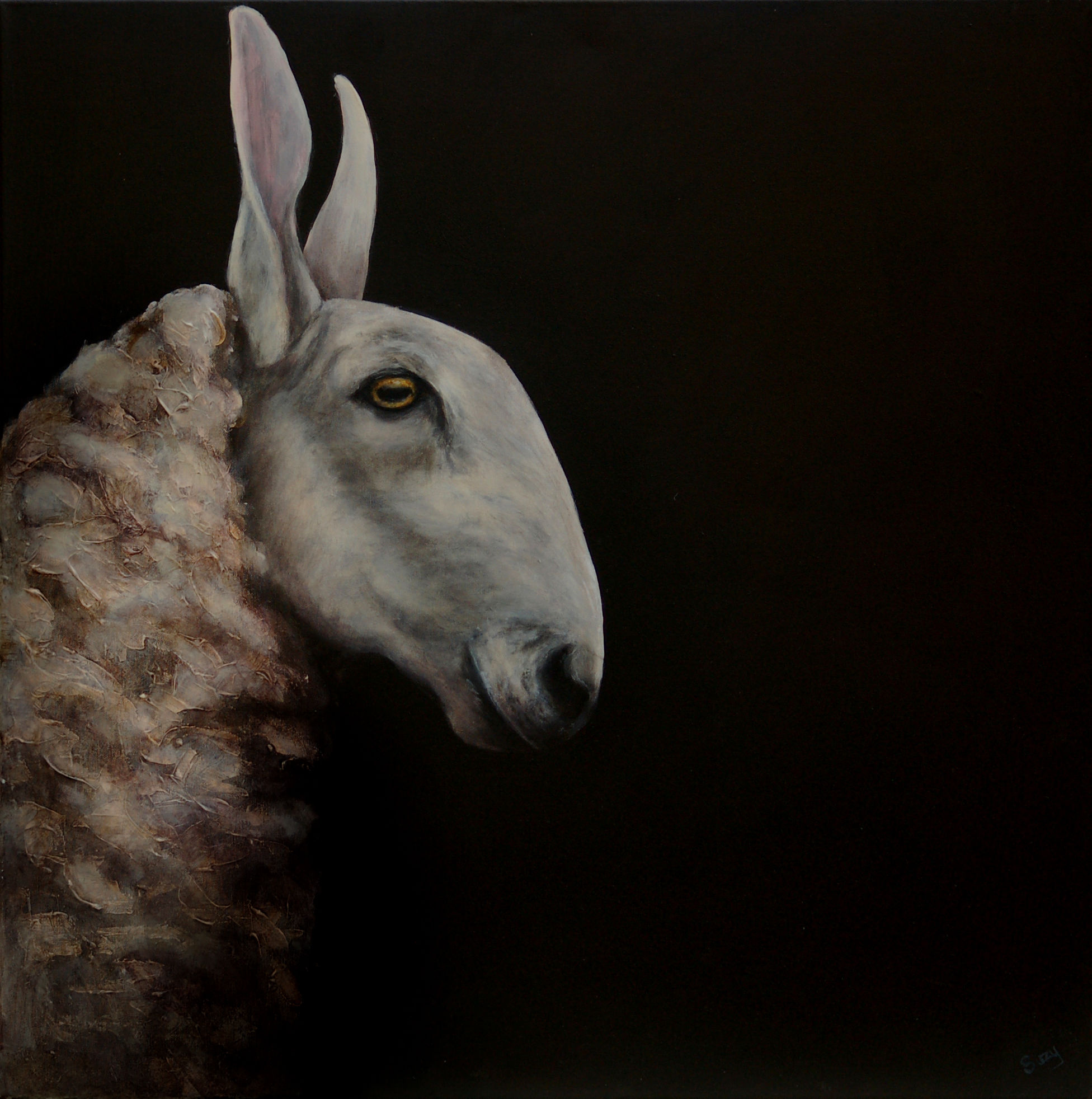 Border Leicester Ewe