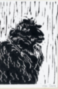 Longwool Ram Lino print