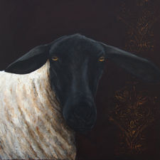 stithians show 12.jpg