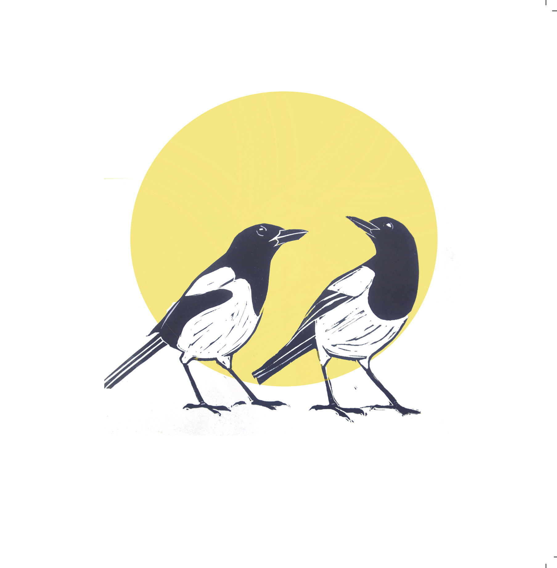 Magpies Two for Joy