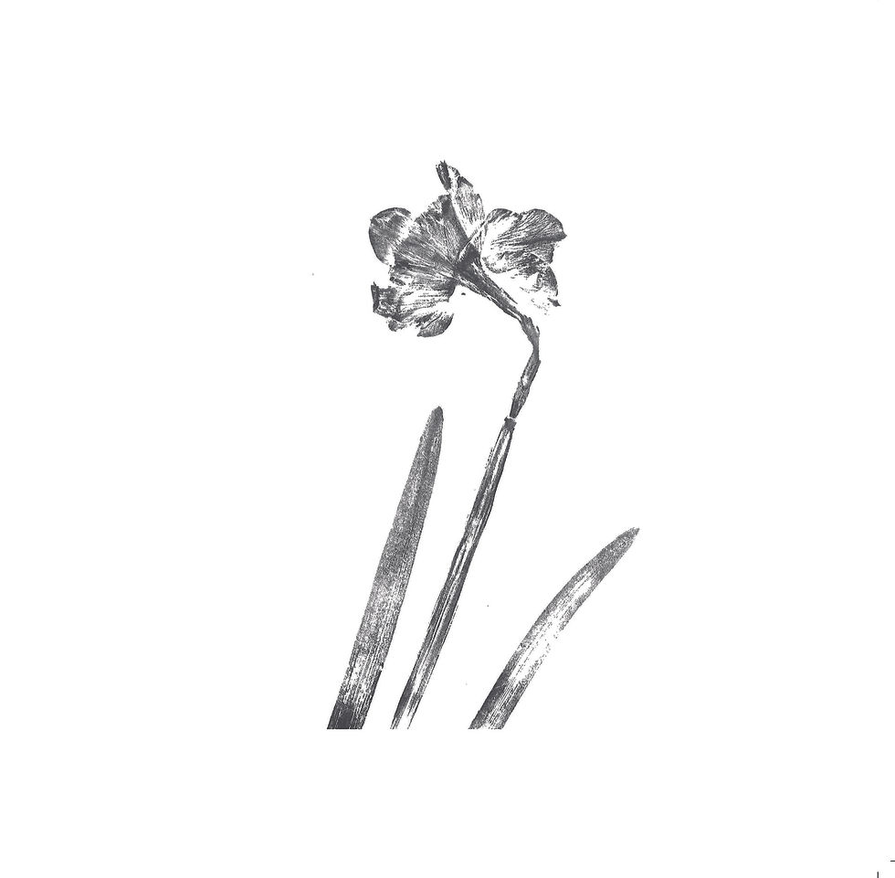 Narcissus Greetings Card