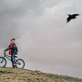 As our world becomes more disparate and broken, NESTS questions if our children and young people are being systematically and ideologically let down by society. NESTS by Frozen Charlotte.