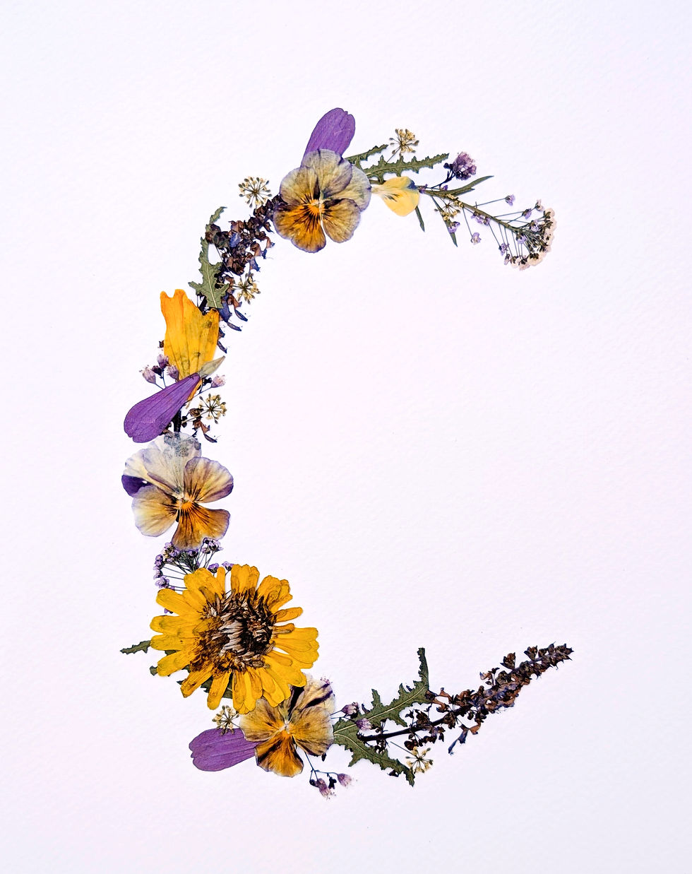 Thumbnail: Custom 5x7 Pressed Flower Letter