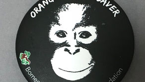 オランウータンの食糧支援を!求む!