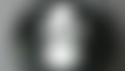 オランウータンの食糧支援を!求む!