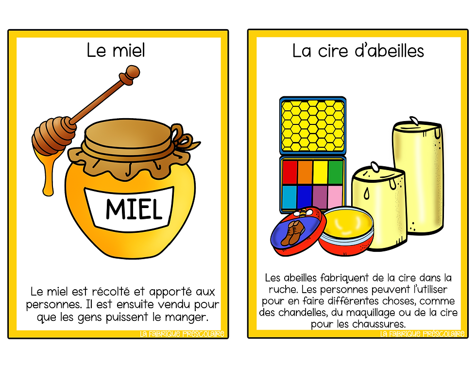 Miniature : Mini-ensemble d'ateliers sur les abeilles