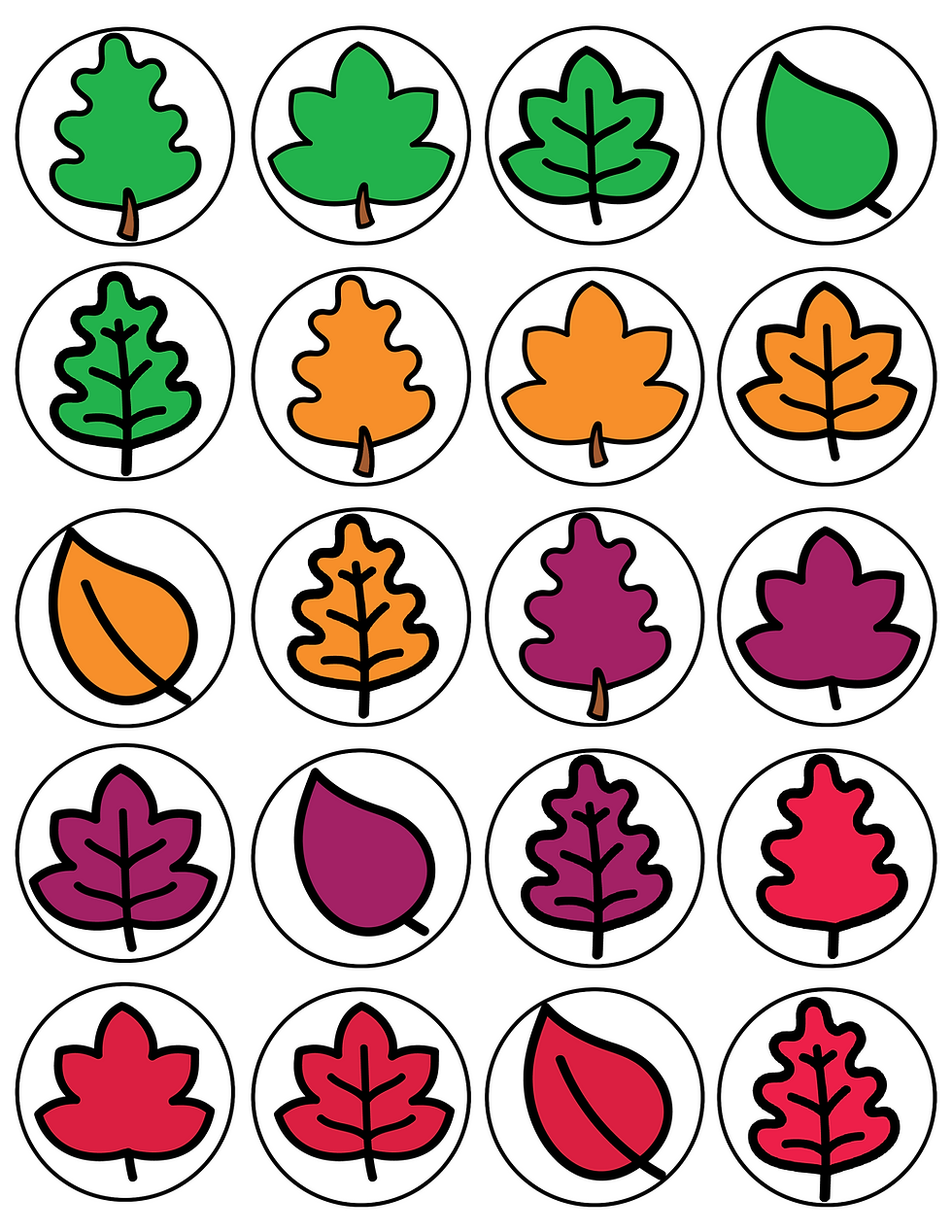 Miniature : La couleur des feuilles d'automne