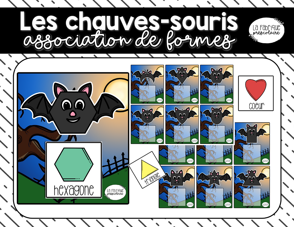 Miniature : Associe les formes de chauves-souris