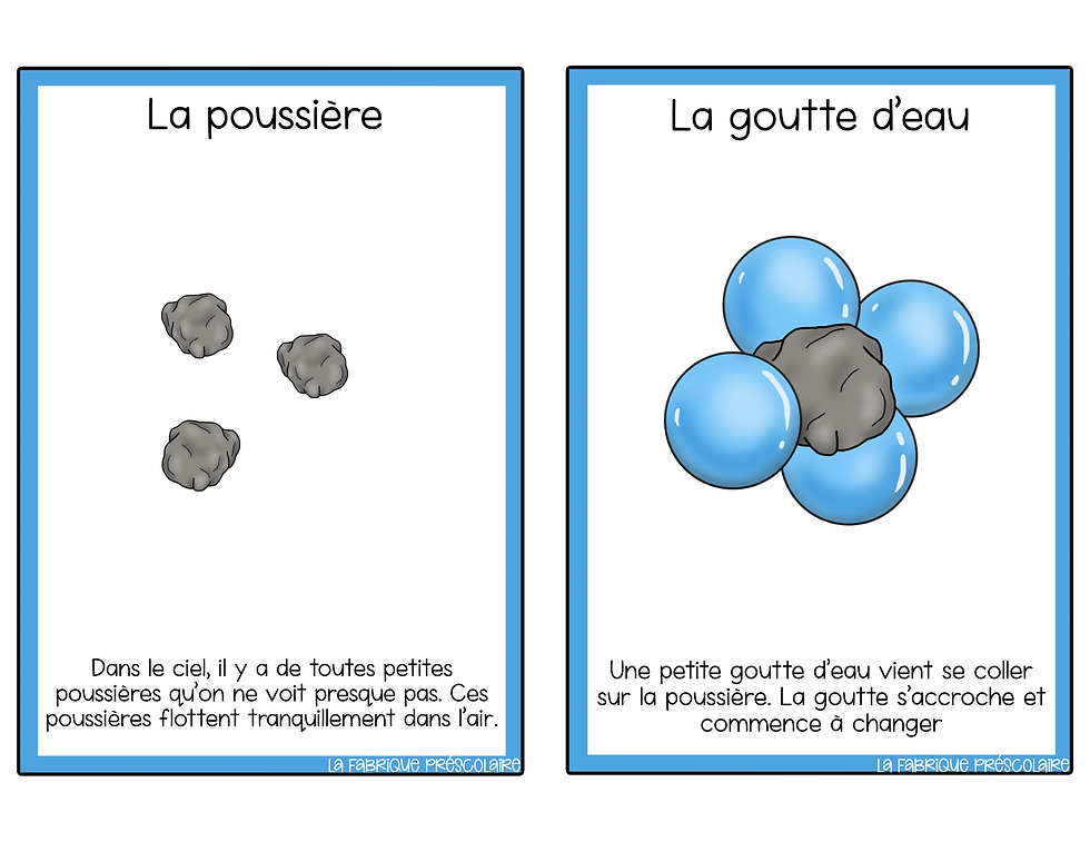 Miniature : Fiche informative du flocon de neige