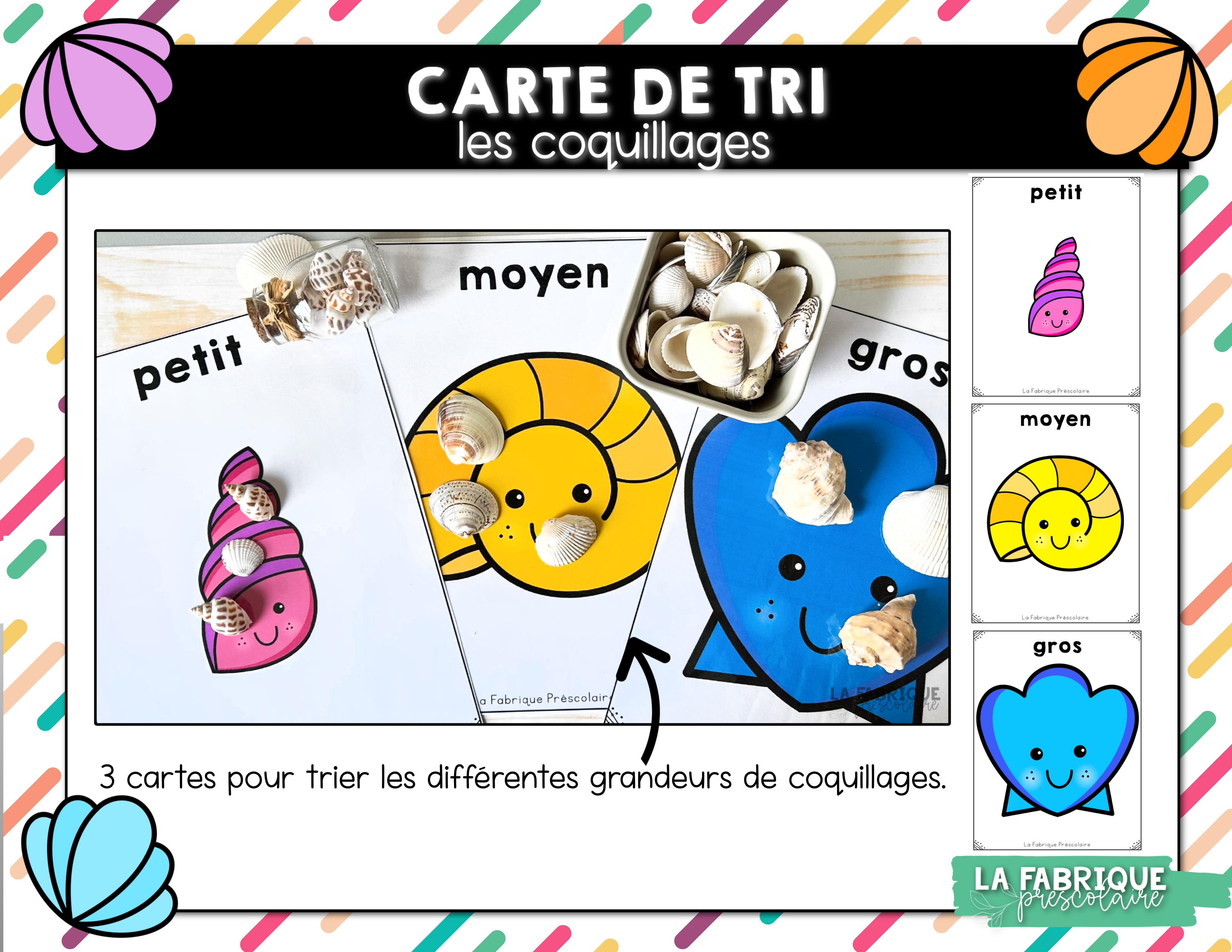 Trie les coquillages