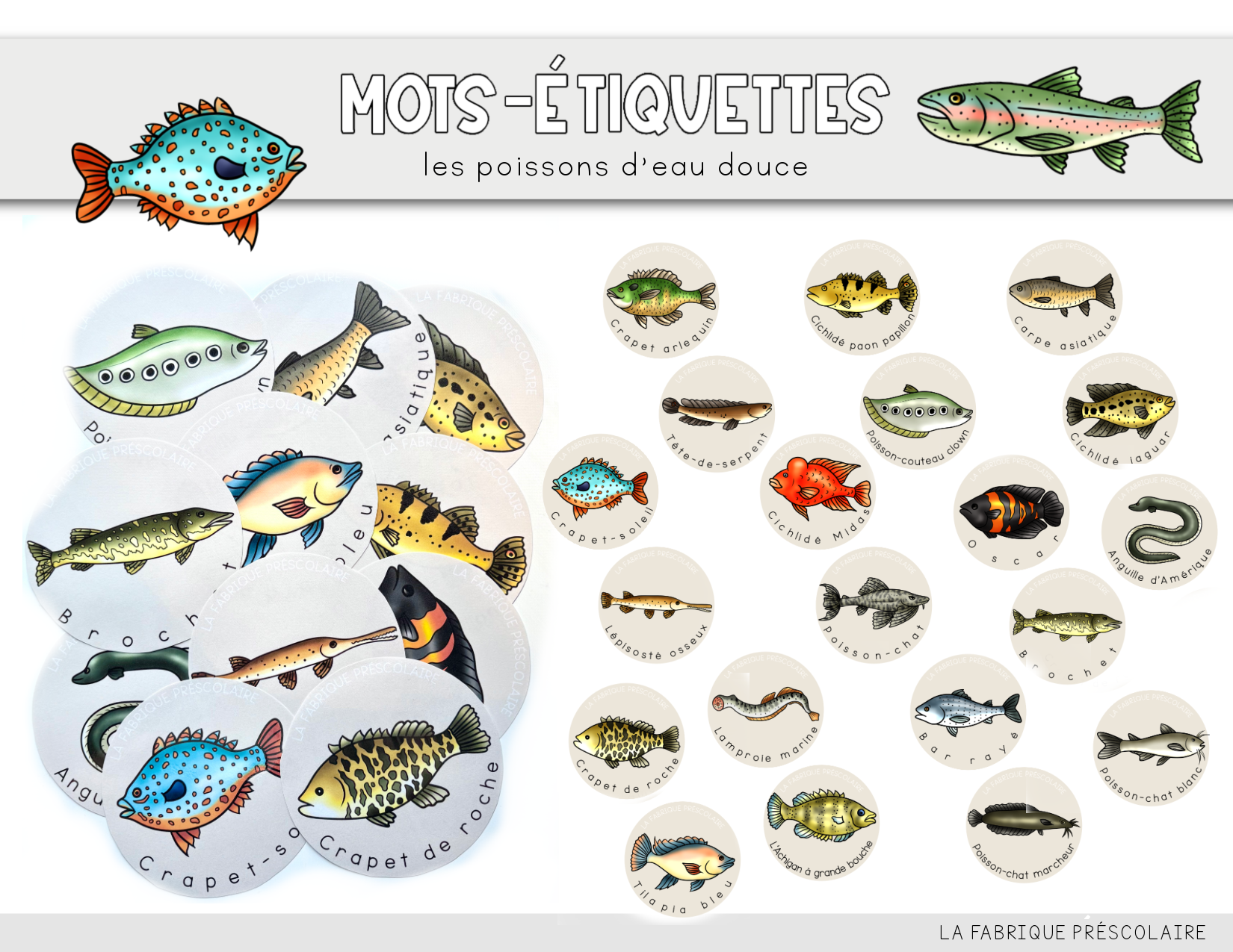 Mots-étiquettes les poissons d'eau douce