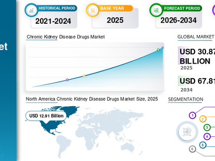 慢性腎臓病治療薬の市場規模、腎臓治療の進歩および2026~2034年の成長予測