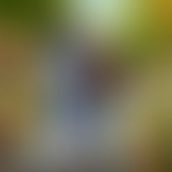 Empowering Seniors: Advocating for Better Healthcare Policies and Services