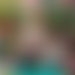 Cultivating Inner Peace: A Guide to Mindfulness and Meditation for Mental and Emotional Well-being